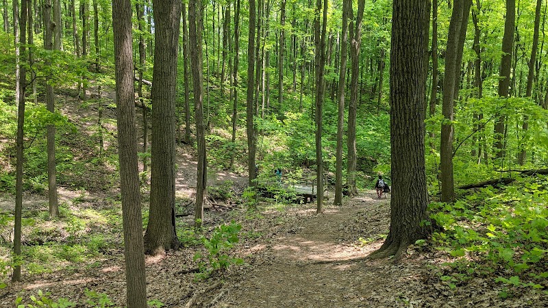 Kerncliff Park - Ian Reid Side Trail