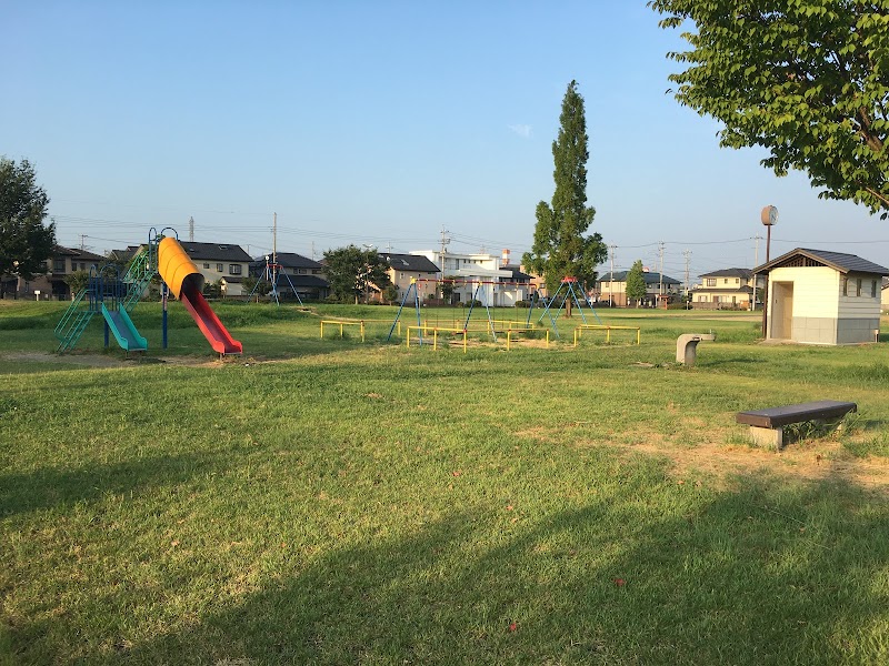 Tarin - Hossain park