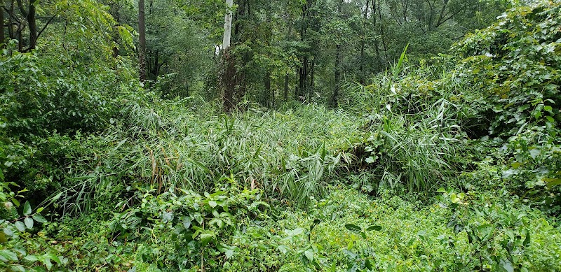 Ivy Glen Park