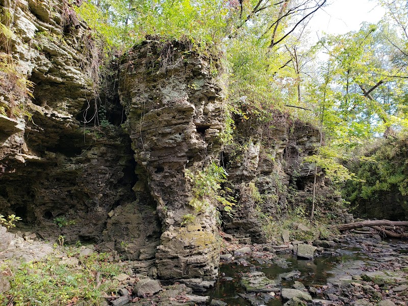 Sagawau Canyon Nature Preserve