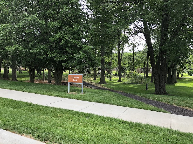 Daffodil Park at Leisure World of Maryland