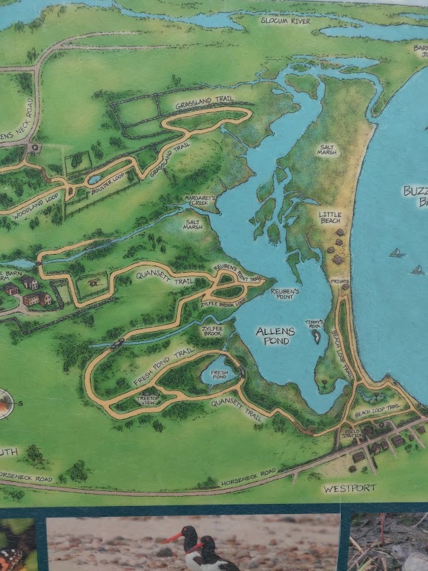 Mass Audubon's Allens Pond Wildlife Sanctuary