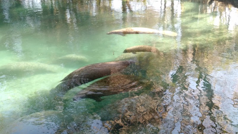 Crystal River NWR Resident Volunteer Campgrounds