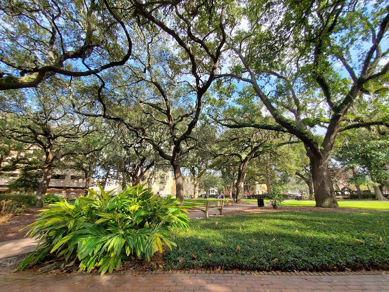 Oglethorpe Square
