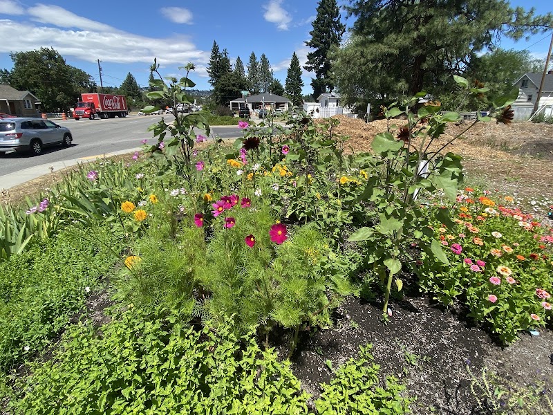 Pumpkin Patch Community Garden