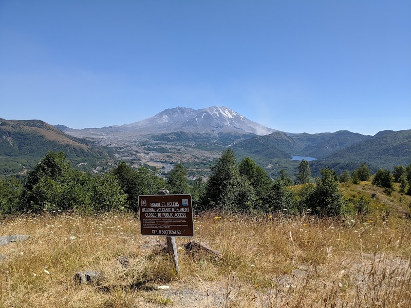 Castle Lake Viewpoint