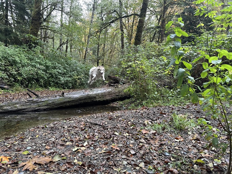 Rocky Creek Conservation Area