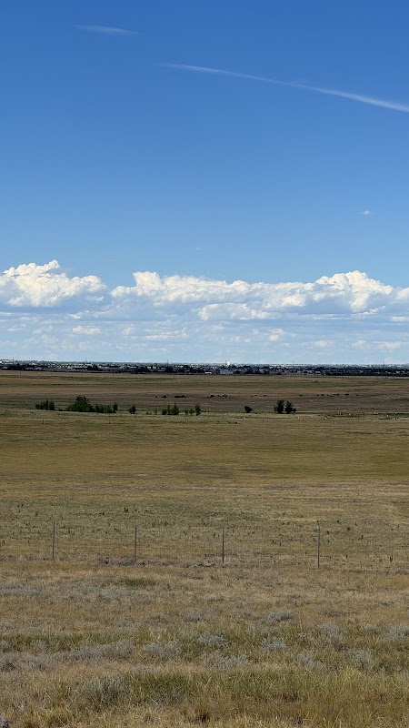 Rattlesnake Hill