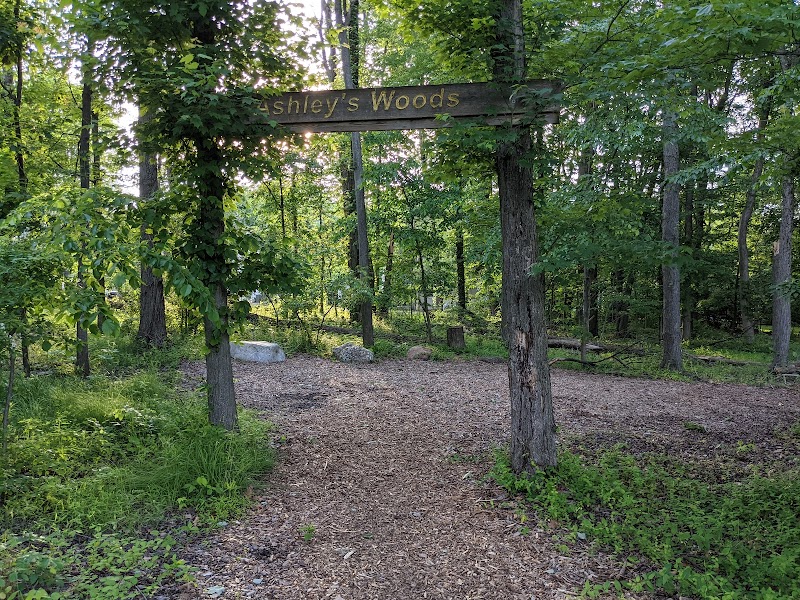 Ashley's Woods