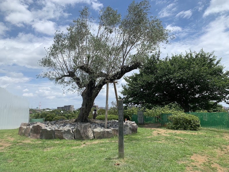 Buiroku Tree