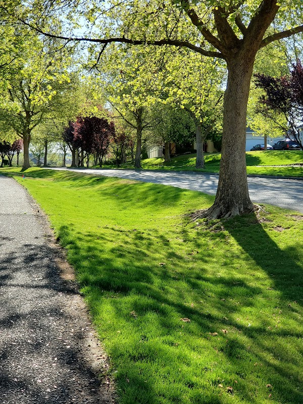 Buchanan Park