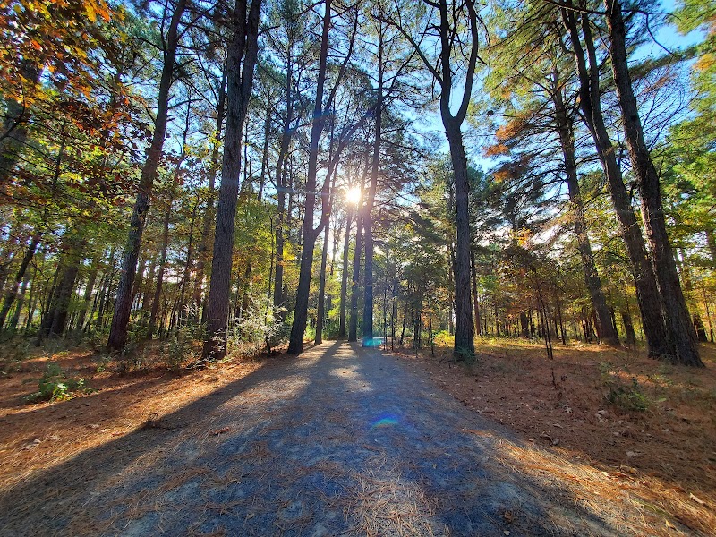 Hendrix Creek Preserve