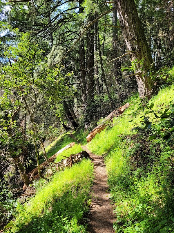 Teague Hill Trail Head