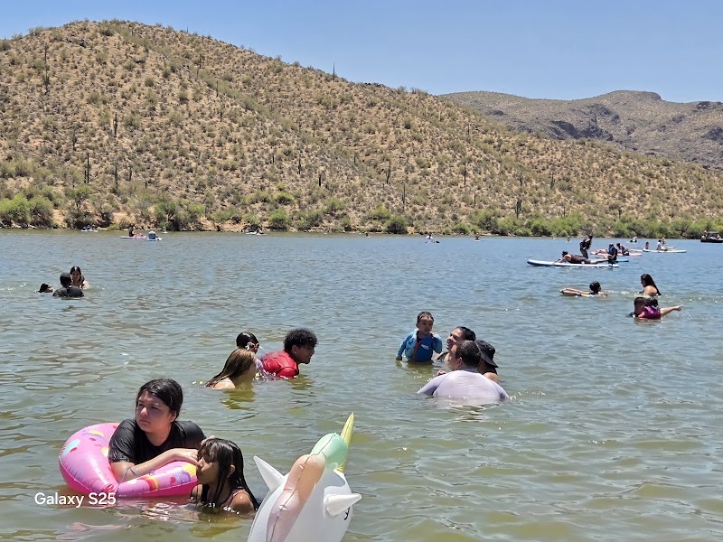 Butcher Jones Beach Site