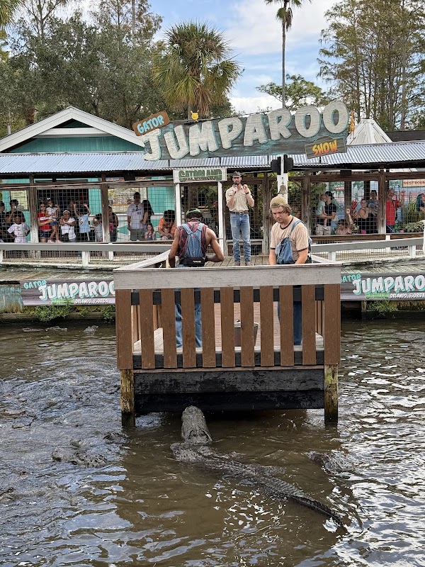 Gator Jumparoo