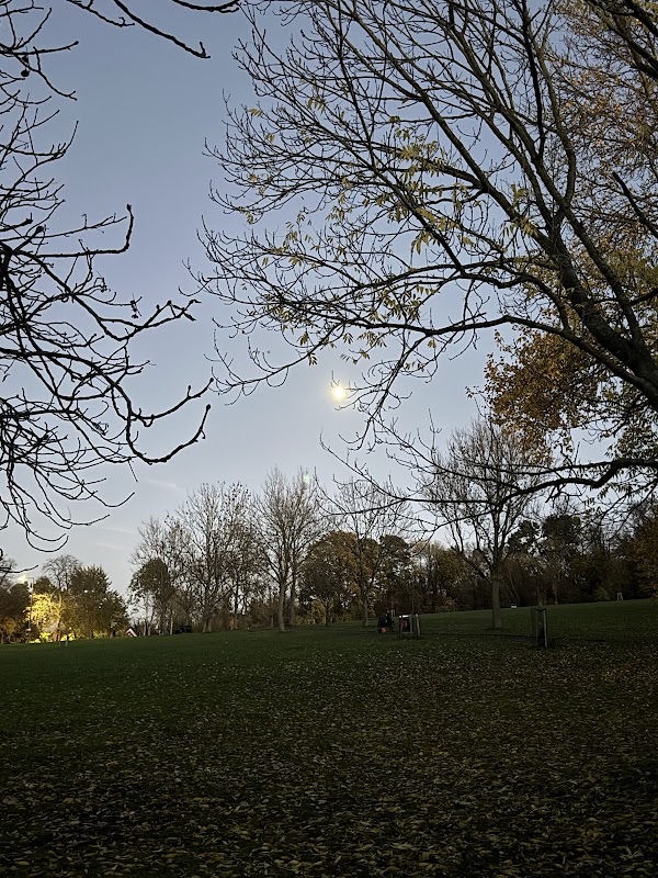 The Grove Open Space