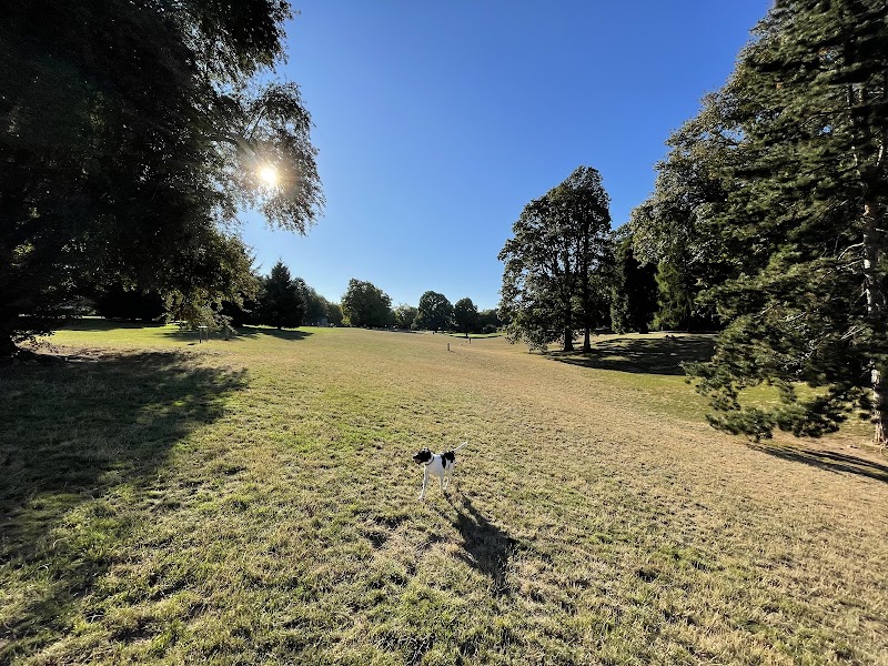 Off-Leash Area of Fernhill Park
