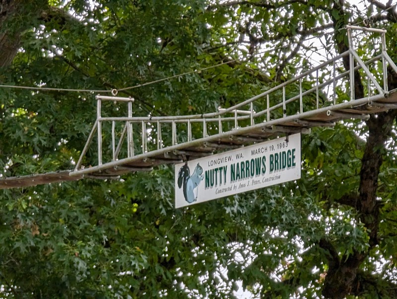 Nutty Narrows - Squirrel Bridges