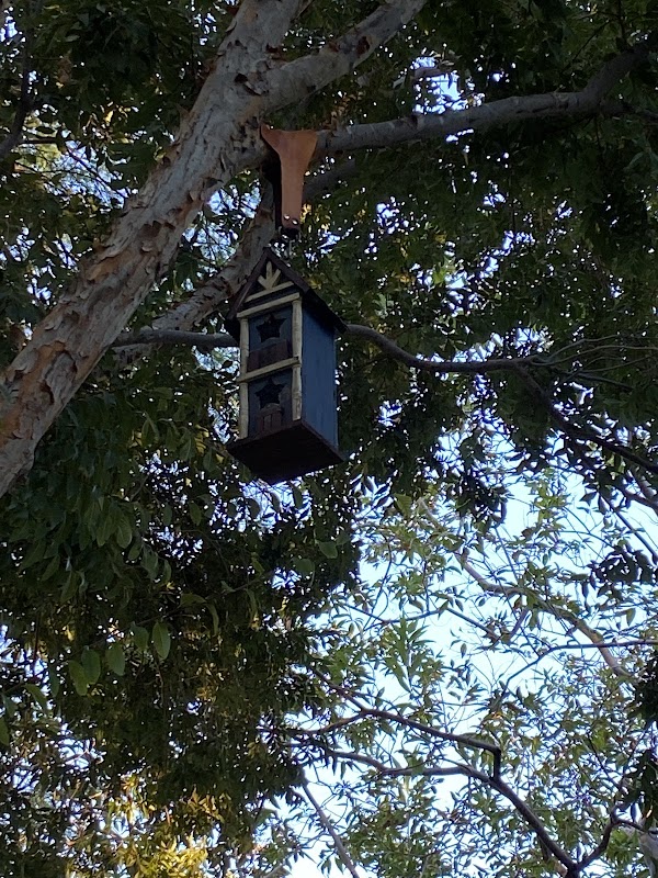 Bird houses in the Peccole paseo