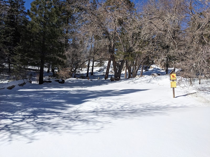 Keller Peak Yellow Post Site #1