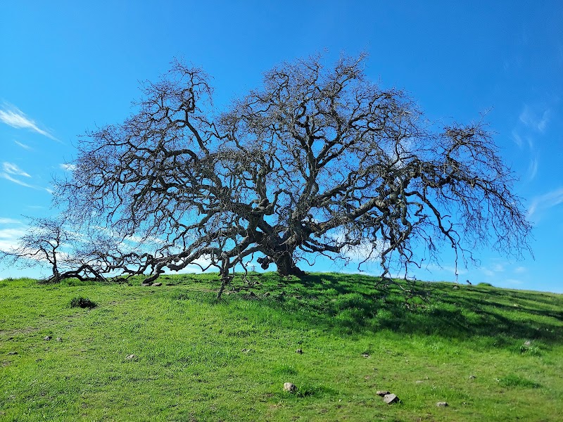 Crane Creek Regional Park