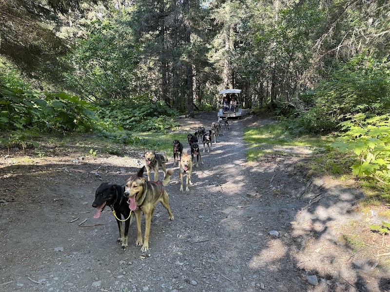 IdidaRide Sled Dog Tours
