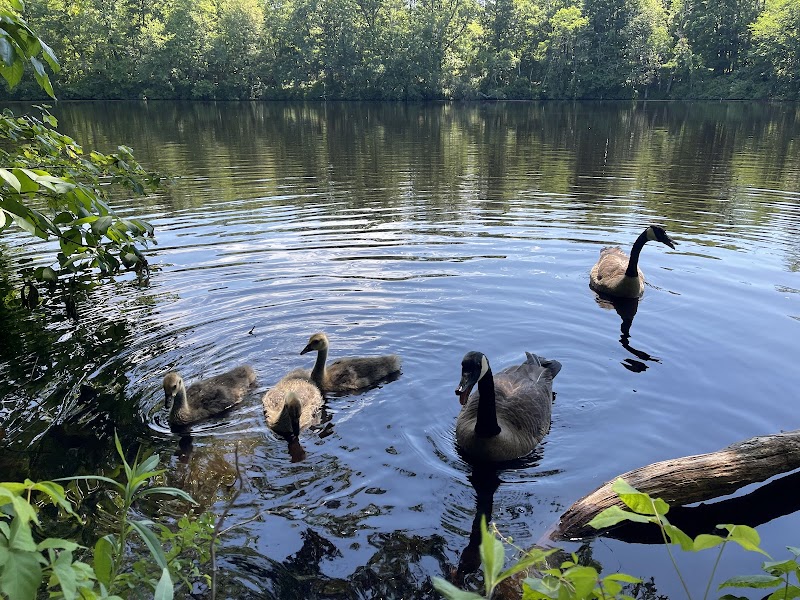 Martin Wildlife Refuge