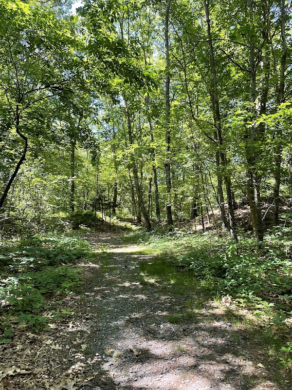 Martin Wildlife Refuge
