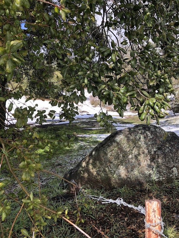 Roberts Ranch Trailhead