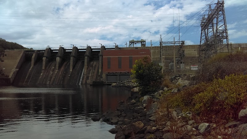 Shepaug Eagle Viewing