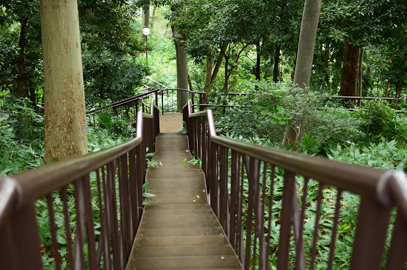Kaminoge Nature Park