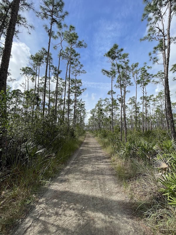 Long Pine Key Nature Trail North Trailhead near Pine Glades Lake