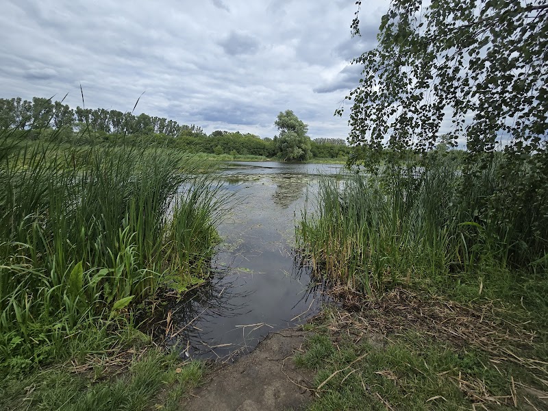 Jezioro Powsinkowskie