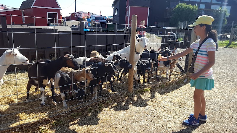 Butterfield Acres Petting Farm