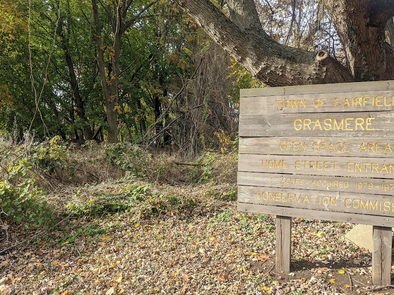 Grasmere Open Space Area