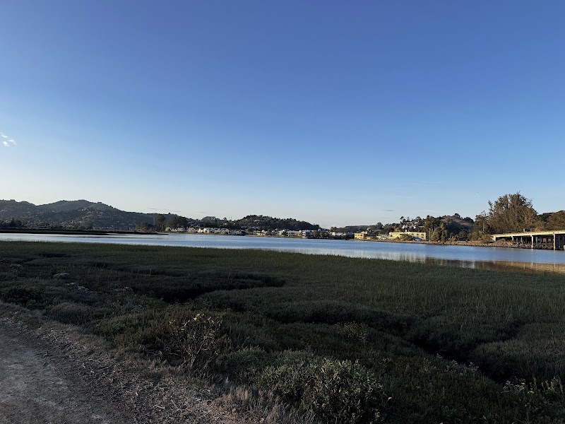 Bothin Marsh Preserve