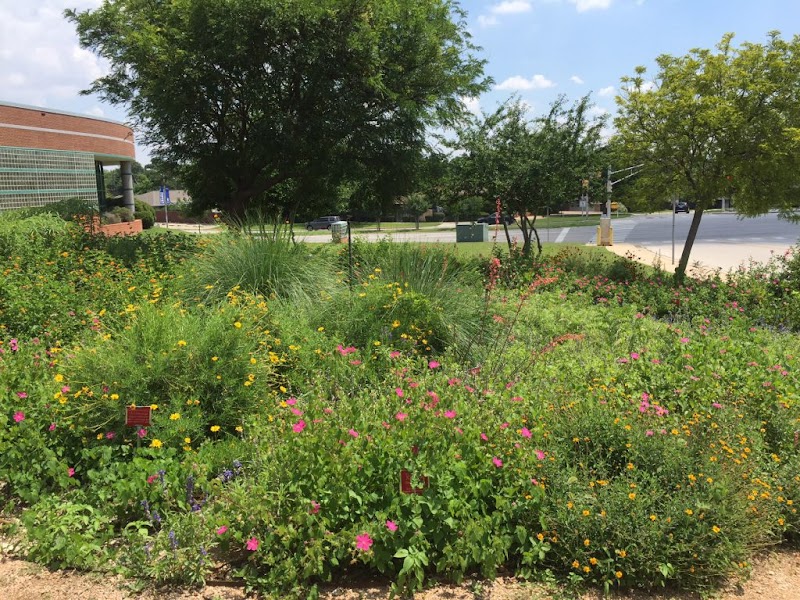 Hulen Library Demonstration Garden