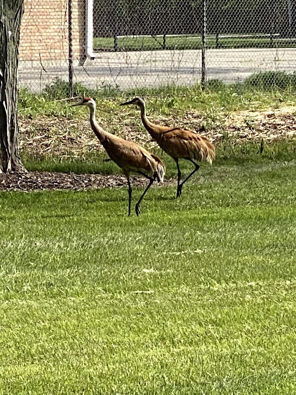 Just Before Sunset On The Trail