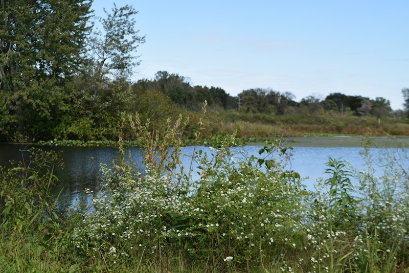 Towpath Trailhead at Manchester Rd