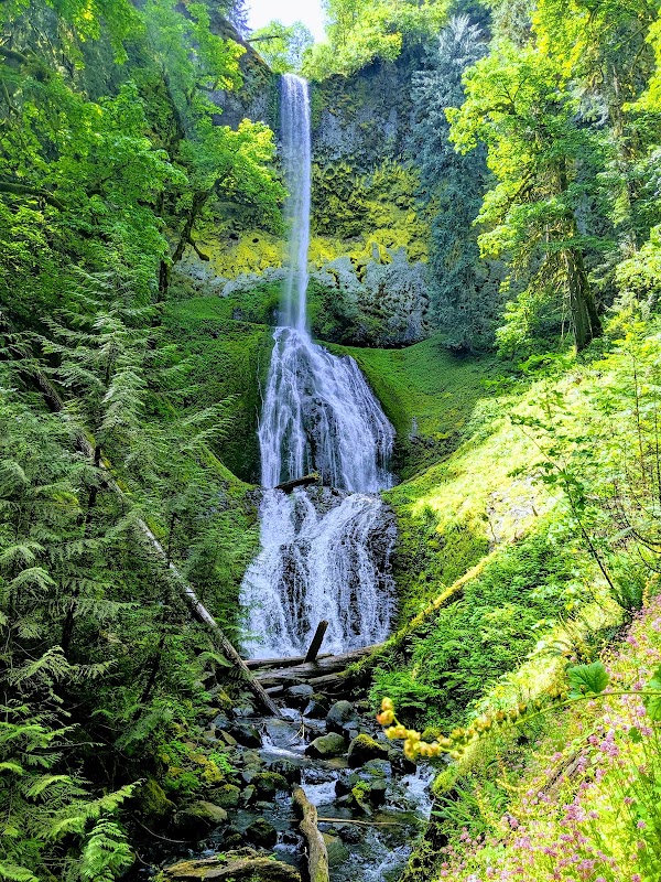 Pup Creek Waterfall
