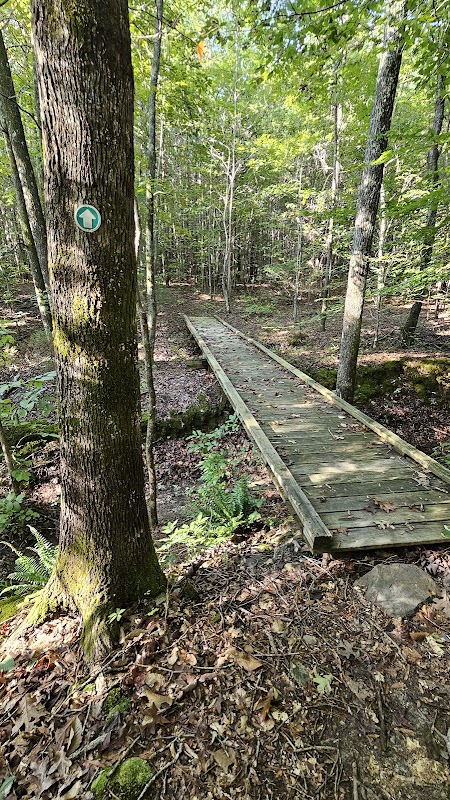 Ledge Creek Forest Conservation Area - Trailhead #2