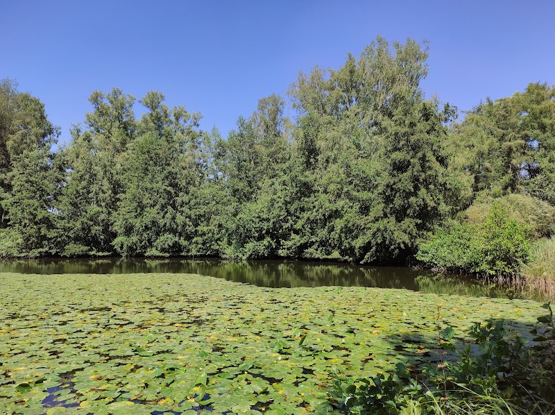 Repère naturel de Launoy