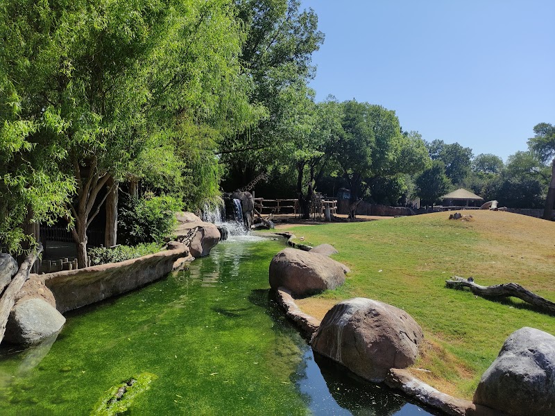 African Savanna at Fort Worth Zoo