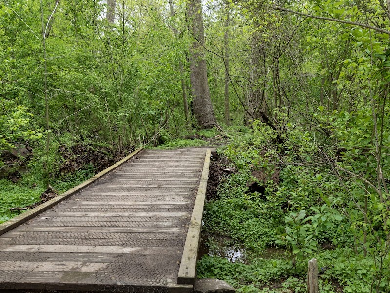 Wissahickon Trails