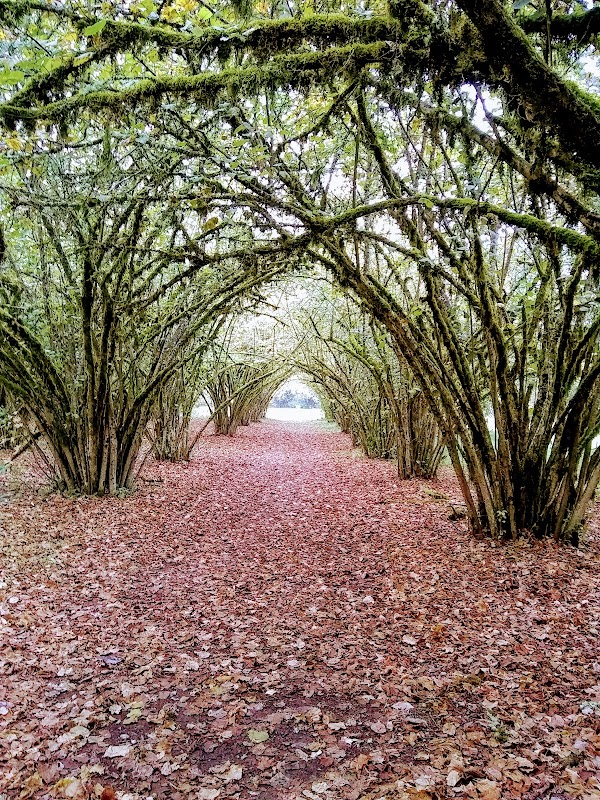Willamette Mission State Park