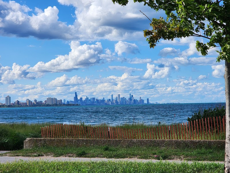 Chicago skyline viewpoint
