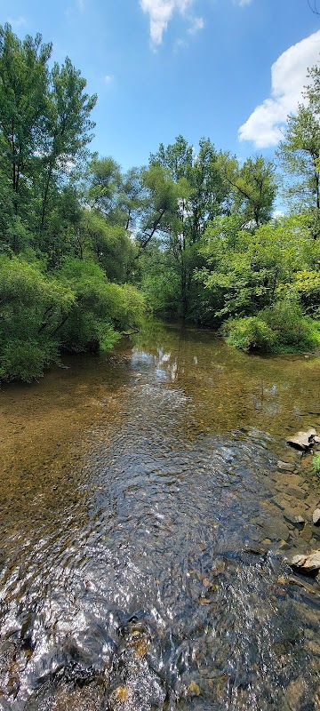 Blue Marsh Trail-Spring Creek