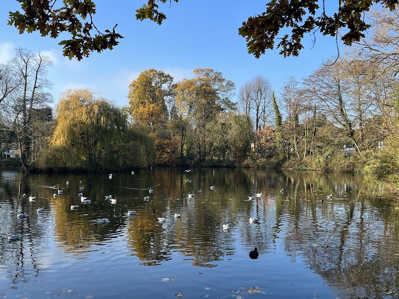 The Canons Park Estate Basin