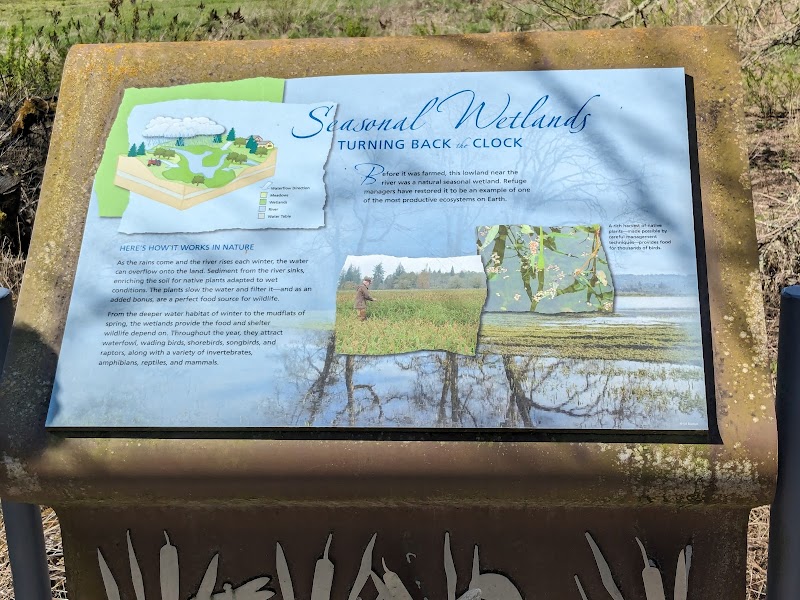 Wetland Overlook