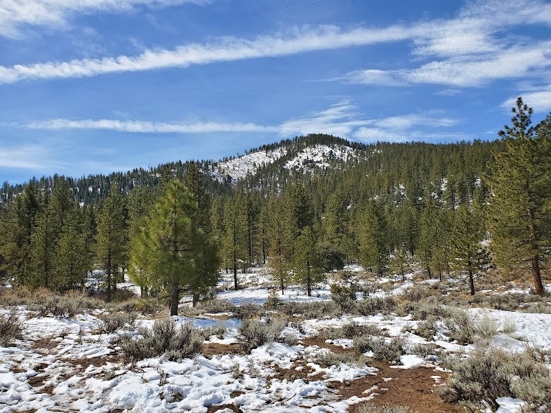 Mt Pinos Vehicle Meeting Spot
